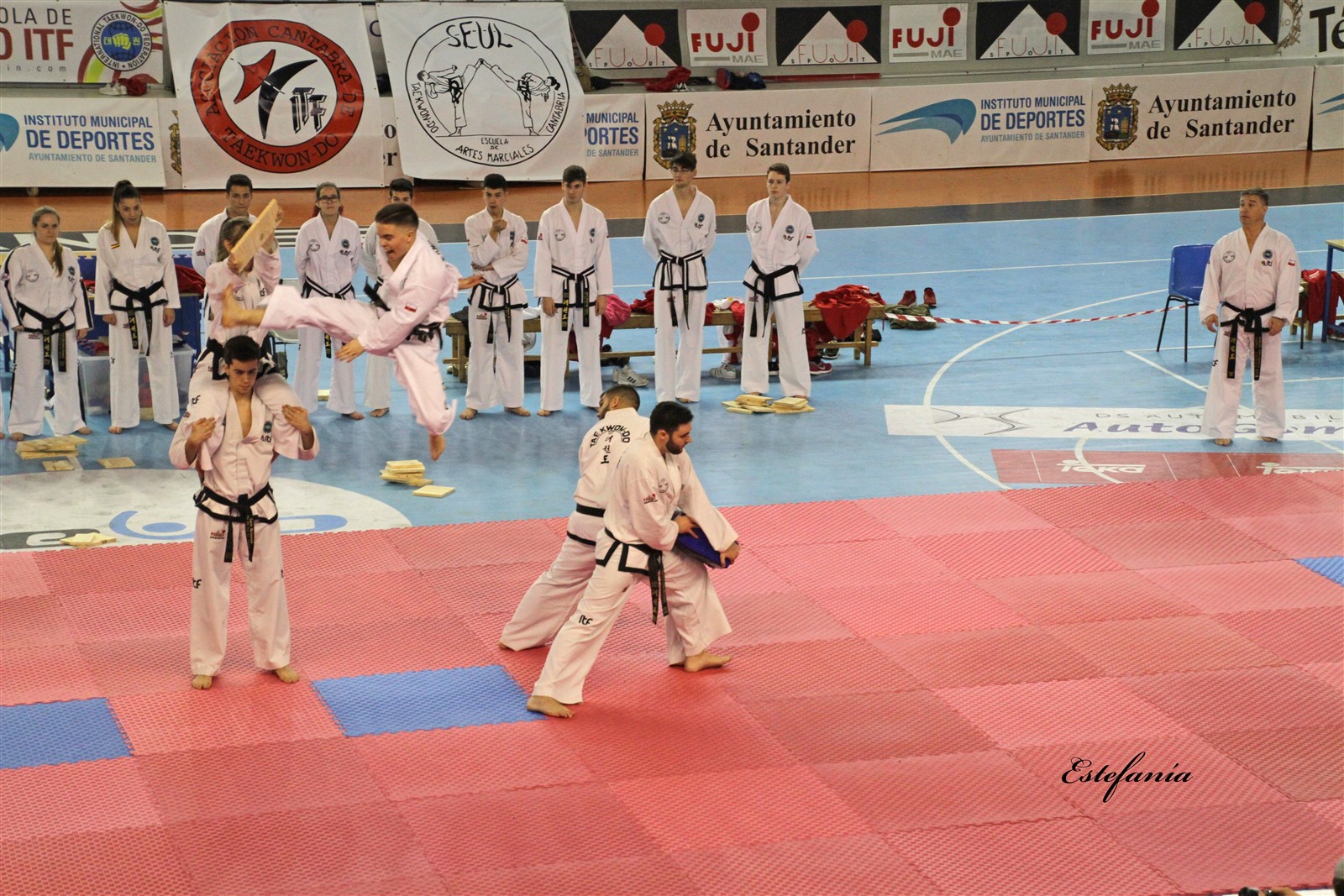 Taekwondo (232).jpg